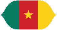 Cameroon flag